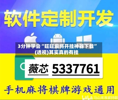 3分钟学会“旺旺麻将开挂神器下载”(透视)其实真的有挂-第2张图片