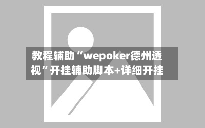 教程辅助“wepoker德州透视”开挂辅助脚本+详细开挂