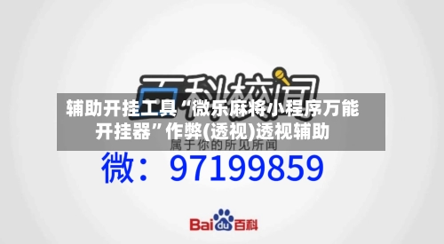 辅助开挂工具“微乐麻将小程序万能开挂器	”作弊(透视)透视辅助-第2张图片