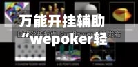 万能开挂辅助“wepoker轻量版透视方法”通用版下载教程！-第2张图片