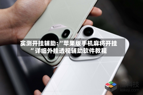 实测开挂辅助:“苹果版手机麻将开挂”详细外挂透视辅助软件教程-第2张图片