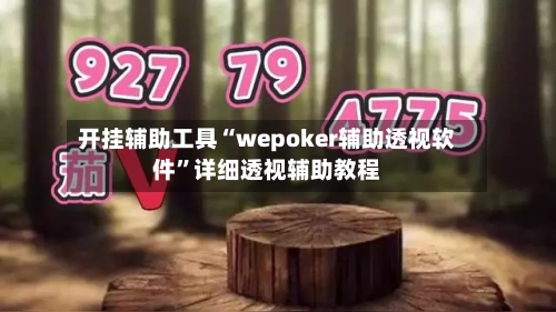 开挂辅助工具“wepoker辅助透视软件”详细透视辅助教程
