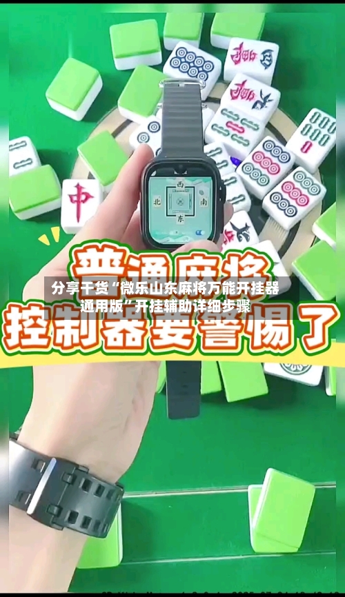 分享干货“微乐山东麻将万能开挂器通用版”开挂辅助详细步骤-第3张图片