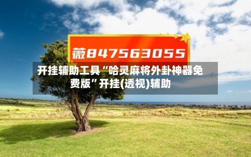 开挂辅助工具“哈灵麻将外卦神器免费版	”开挂(透视)辅助-第2张图片