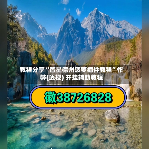 教程分享“智星德州菠萝插件教程”作弊(透视) 开挂辅助教程-第2张图片