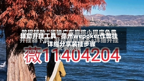 辅助开挂工具“德州wepoker作弊挂”详细分享装挂步骤-第2张图片