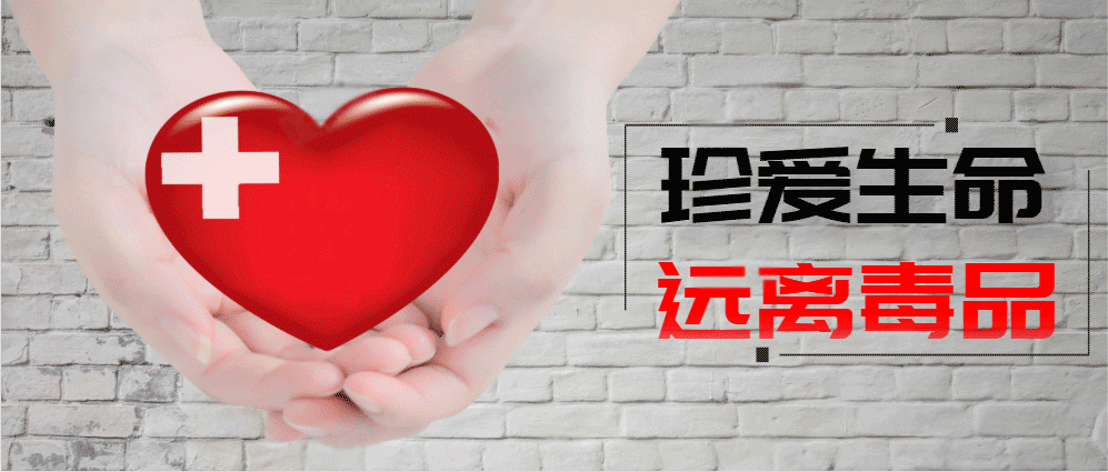 新冠状病毒全国疫情/新冠状病毒全国疫情动态-第3张图片