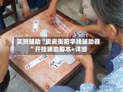 实测辅助“皮皮衡阳字牌辅助器”开挂辅助脚本+详细