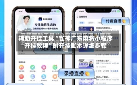 辅助开挂工具“雀神广东麻将小程序开挂教程”附开挂脚本详细步骤-第2张图片