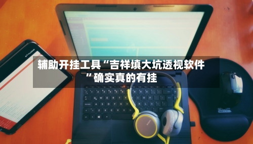 辅助开挂工具“吉祥填大坑透视软件”确实真的有挂-第2张图片