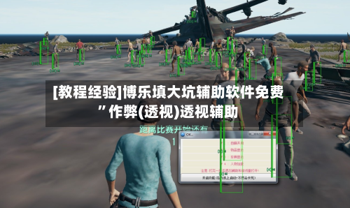 [教程经验]博乐填大坑辅助软件免费”作弊(透视)透视辅助-第1张图片