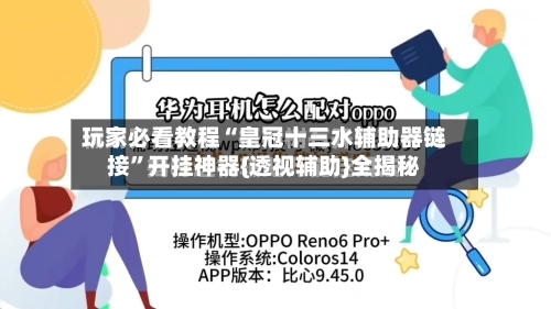 玩家必看教程“皇冠十三水辅助器链接”开挂神器{透视辅助}全揭秘-第3张图片