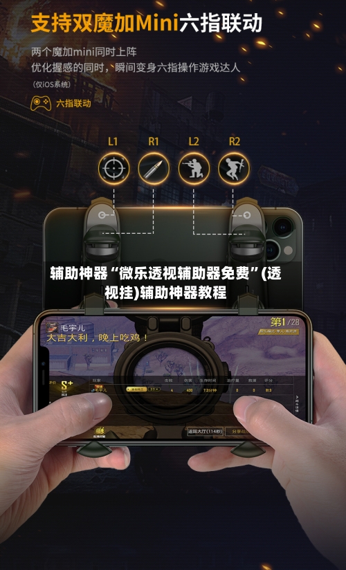 辅助神器“微乐透视辅助器免费”(透视挂)辅助神器教程-第3张图片