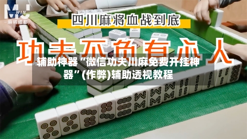 辅助神器“微信功夫川麻免费开挂神器	”(作弊)辅助透视教程-第2张图片