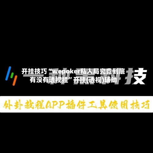 开挂技巧“wepoker私人局究竟到底有没有透视挂”开挂(透视)辅助-第2张图片