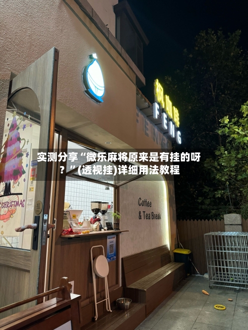 实测分享“微乐麻将原来是有挂的呀？”(透视挂)详细用法教程-第3张图片