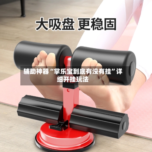 辅助神器“掌乐宝到底有没有挂”详细开挂玩法