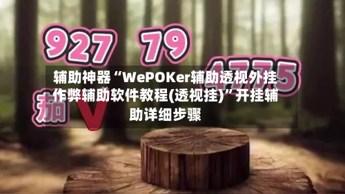 辅助神器“WePOKer辅助透视外挂作弊辅助软件教程(透视挂)”开挂辅助详细步骤-第2张图片