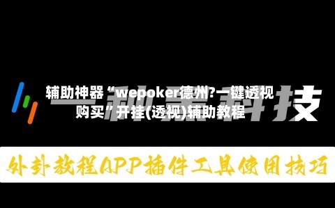 辅助神器“wepoker德州?一键透视购买	”开挂(透视)辅助教程-第2张图片