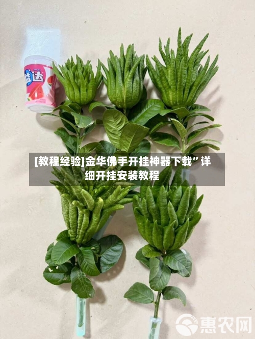 [教程经验]金华佛手开挂神器下载	”详细开挂安装教程-第3张图片