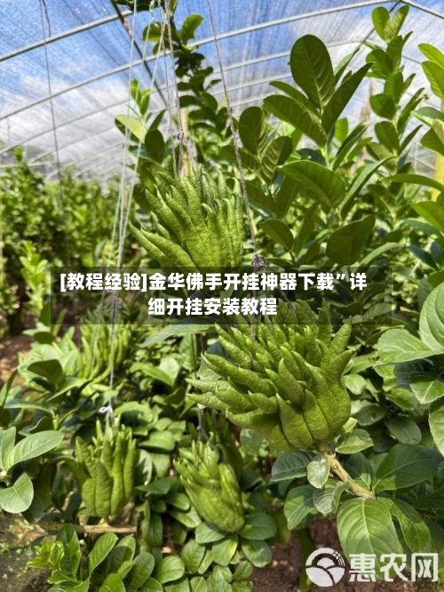 [教程经验]金华佛手开挂神器下载”详细开挂安装教程-第2张图片