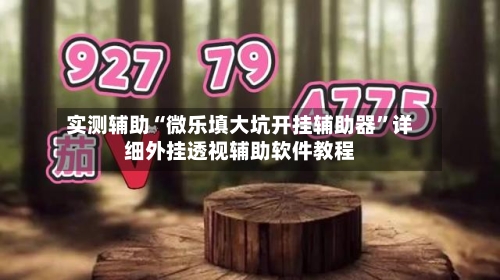 实测辅助“微乐填大坑开挂辅助器”详细外挂透视辅助软件教程