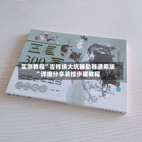 实测教程”吉祥填大坑辅助器通用版”详细分享装挂步骤教程-第2张图片