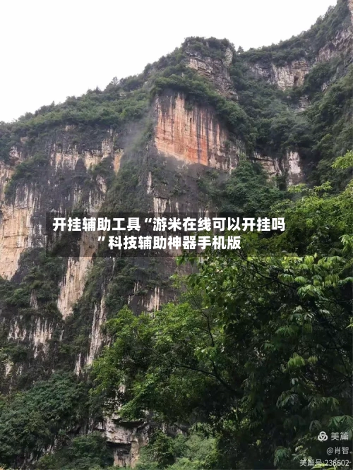 开挂辅助工具“游米在线可以开挂吗”科技辅助神器手机版