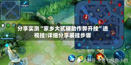 分享实测“家乡大贰辅助作弊开挂”透视挂!详细分享装挂步骤