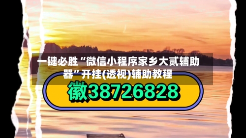 一键必胜“微信小程序家乡大贰辅助器”开挂(透视)辅助教程-第2张图片