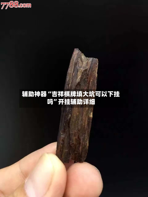 辅助神器“吉祥棋牌填大坑可以下挂吗”开挂辅助详细-第2张图片