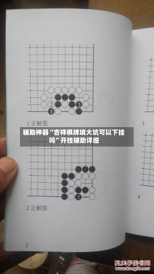 辅助神器“吉祥棋牌填大坑可以下挂吗”开挂辅助详细-第3张图片