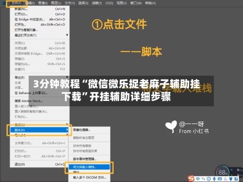 3分钟教程“微信微乐捉老麻子辅助挂下载	”开挂辅助详细步骤-第2张图片