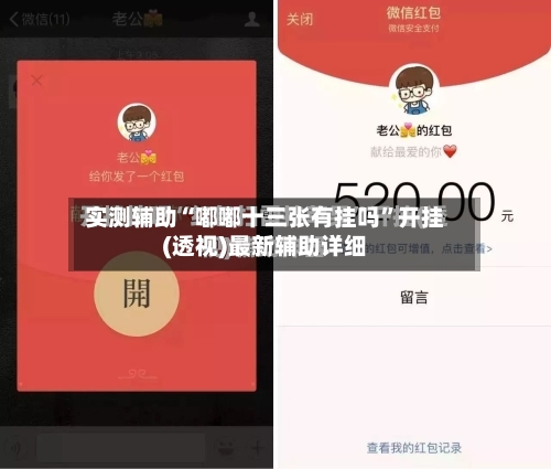 实测辅助“嘟嘟十三张有挂吗”开挂(透视)最新辅助详细