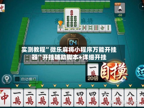 实测教程”微乐麻将小程序万能开挂器	”开挂辅助脚本+详细开挂-第2张图片