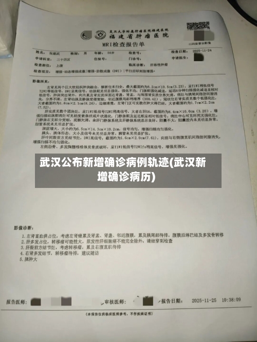 武汉公布新增确诊病例轨迹(武汉新增确诊病历)-第3张图片
