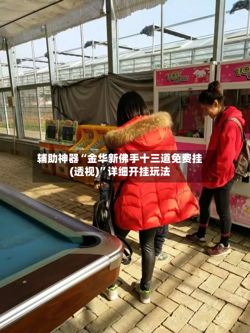 辅助神器“金华新佛手十三道免费挂(透视)”详细开挂玩法-第3张图片
