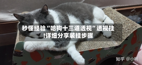 秒懂经验“哈狗十三道透视”透视挂!详细分享装挂步骤-第2张图片