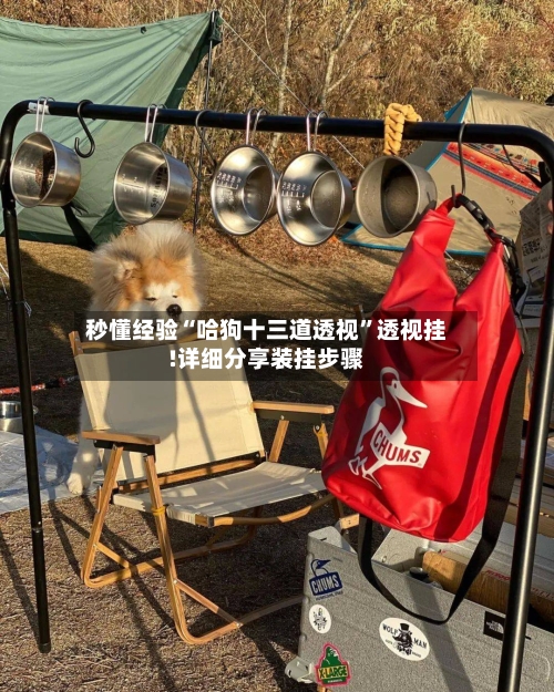 秒懂经验“哈狗十三道透视	”透视挂!详细分享装挂步骤-第3张图片
