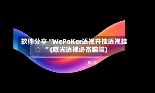 软件分享“WePoKer透视开挂透视挂	”(曝光透视必备猫腻)-第2张图片