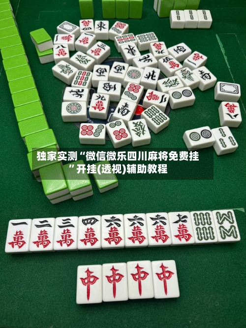 独家实测“微信微乐四川麻将免费挂”开挂(透视)辅助教程-第2张图片