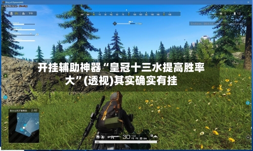 开挂辅助神器“皇冠十三水提高胜率大”(透视)其实确实有挂-第3张图片