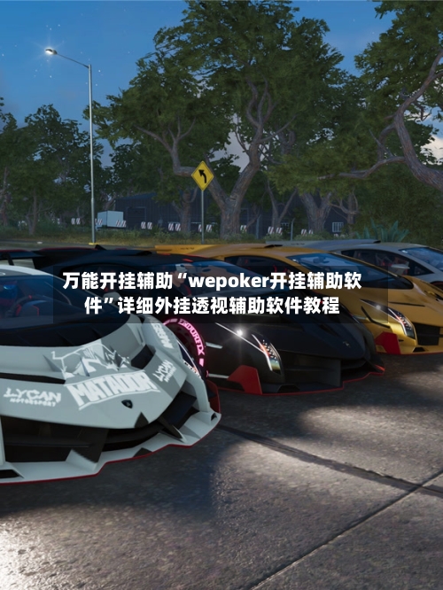 万能开挂辅助“wepoker开挂辅助软件	”详细外挂透视辅助软件教程-第2张图片