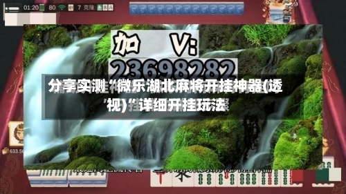 分享实测“微乐湖北麻将开挂神器(透视)”详细开挂玩法-第2张图片
