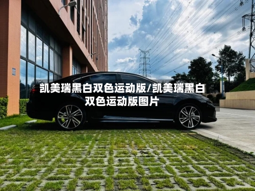 凯美瑞黑白双色运动版/凯美瑞黑白双色运动版图片-第3张图片