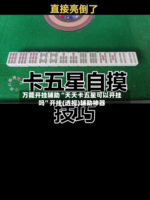 万能开挂辅助“天天卡五星可以开挂吗”开挂(透视)辅助神器-第2张图片