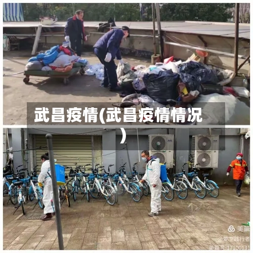 武昌疫情(武昌疫情情况)-第2张图片