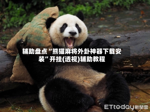 辅助盘点“熊猫麻将外卦神器下载安装”开挂(透视)辅助教程-第2张图片