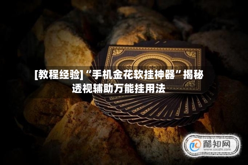 [教程经验]“手机金花软挂神器	”揭秘透视辅助万能挂用法-第1张图片