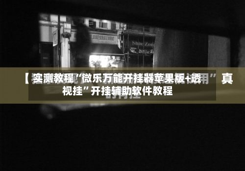 实测教程“微乐万能开挂器苹果版+透视挂”开挂辅助软件教程-第2张图片